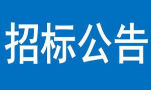 三門(mén)峽市甘棠路下穿陜州大道橋下裝飾工程成交公告